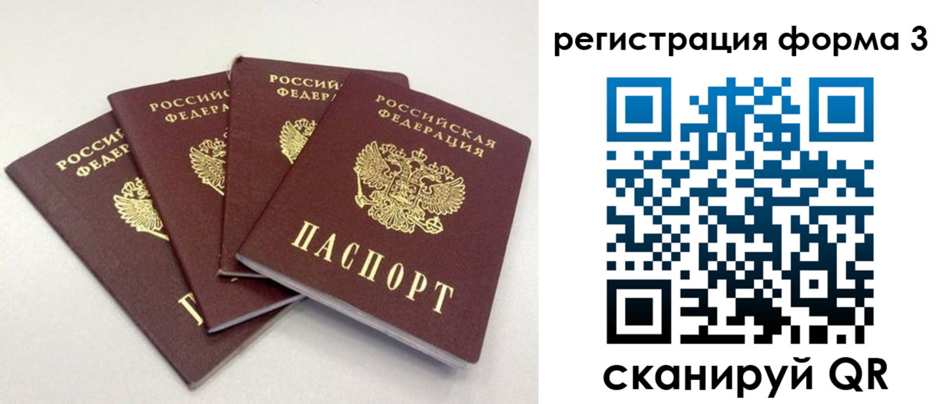 прописка 2025 в Тосно